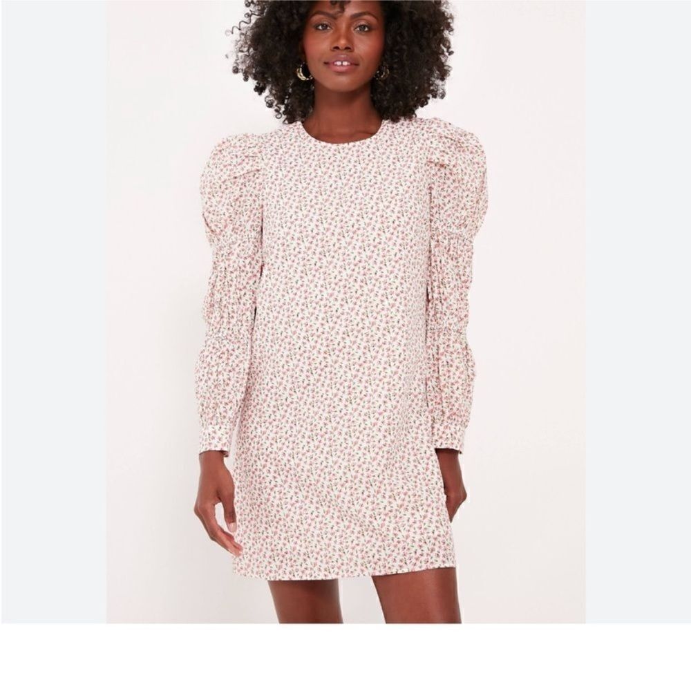 Tuckernuck Hyacinth House Textured Floral Puff Sleeve Clemons Mini Dress |M